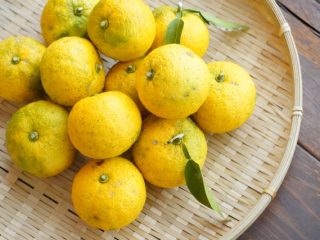 結果発表~っ!(浜ちゃん風) 結果発表~っ!(浜ちゃん風)