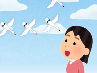 白鳥のように